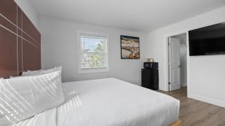 Safari Apartments - Ocean City - 5