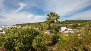 Casares Green 4 1D - 3