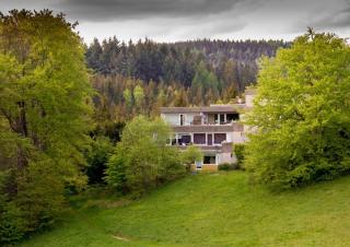 Terrassenhaus Fichtentraum im Harz mit Schwimmbad - Hohegeiß - 5