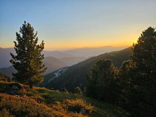 PLOSE Parkhotel & Residence - Bressanone - 2