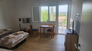 Udobna Soba Sa Prelepim Pogledom #4 - 1