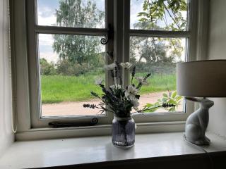 Canter Cottage - 4