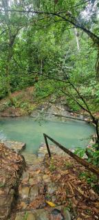 Shintuyahotsprings - Santa Rosa - 9