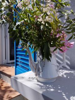 Maison d'Hôtes Floribel - Cagnes-sur-Mer - 1