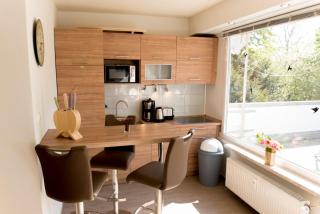 Terrassenhaus Fichtenwald im Harz mit Schwimmbad & Sauna - Hohegeiß - 5