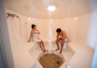 Terrassenhaus Fichtenwald im Harz mit Schwimmbad & Sauna - Hohegeiß - 3
