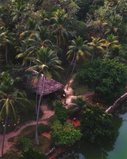 Vishram Village - Varkala - 1