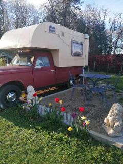 Le Pick up 403 vintage - Oradour-sur-Glane - 0