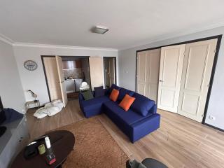 Appartement centre ville Toulouse - Toulouse - 3