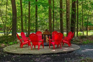 Tawny and Peaceful Game Room Firepit PatioDeck Workspace - Arrowhead Lake - 9