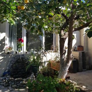 Summer Garden - Tbilisi - 1
