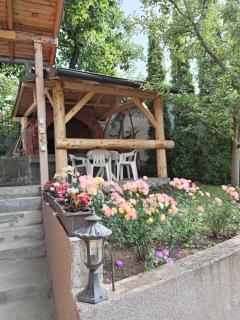 Kuca za odmor Ruza vetrova - Sokobanja - 9