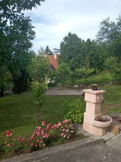Kuca za odmor Ruza vetrova - Sokobanja - 8