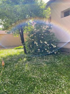 Marcsi Apartman - Gyula - 1