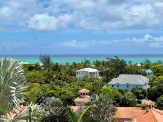 Extra spacious oceanview condo 5 min from pristine beach - Providenciales - 1