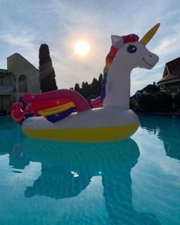 Art Gallery Apartman - 7
