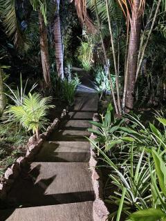 A Peace In Paradise - 3