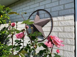 Lonestar Appartement - 6