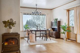 House in the lights and Aurora - 9