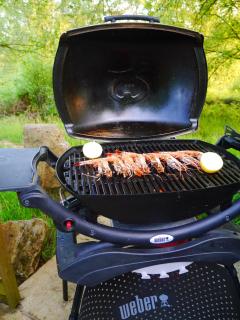 Craigmaddie Muir Roundhouse with Hot Tub Romantic, Luxury, Rural Stay for 2 Near Milngavie - 6