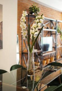 Luxury 3BR Pool and Gym in Roma - 2