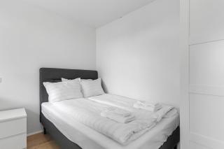 2BR Central Reykjavík Apartment - Reykjavik - 2