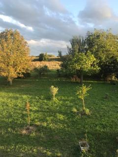 Chambre chez l'habitant à la campagne - - 6