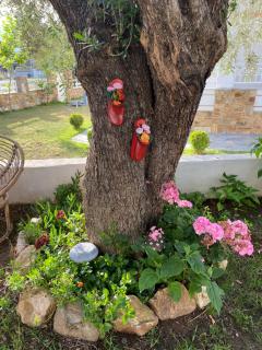 Harmony Studios & Apartments - 9