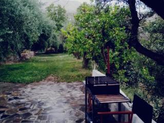 Cortijo Rural Andalusí - Órgiva - 1
