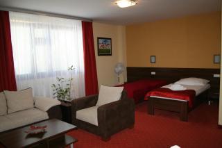 Grand Hotel Senica, Garni - 9
