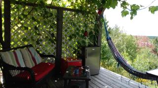 The Eagle's Landing on Minamkeak Lake - A Serene Escape - - 9
