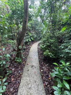 Tree House Bosque Nuboso Monteverde - Monteverde Costa Rica - 2