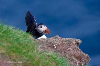 Glengolly Getaways - Thurso - 1