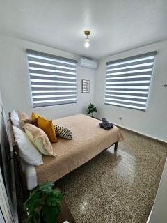 Urban Tropical Oasis in San Juan - 9