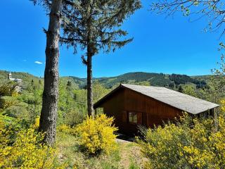 Chalet de Dourbies - Dourbies - 7