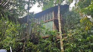 Casa en el arbol - Gecko 1 Familia del Tacana - 8