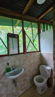 Cabaña en el arbol del Tacana - Leticia - 4