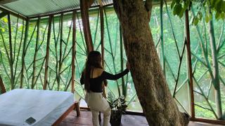 Cabaña en el arbol del Tacana - Leticia - 1