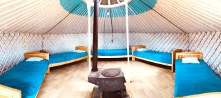 Tungalag tamir tourist camp - 1