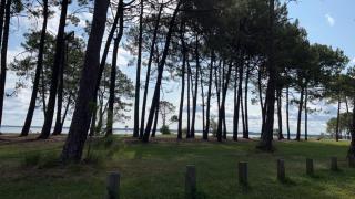 Maison bois 6pers Biscarrosse - Biscarrosse - 7