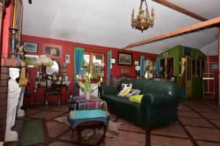 Pokój Paw-puszcza kampinowska - 2