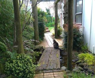 Secret Cottage - Waitara - 6