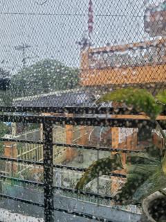 AGK House - HomeStay - 406 Xô Viết Nghệ Tĩnh, P25, Bình Thạnh, gần ngã 4 Hàng Xanh - 6