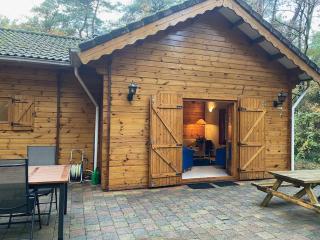 Vakantiehuis midden in het bos vlakbij de Efteling Natuurhuisje Loonse en Drunense duinen - Helvoirt - 9