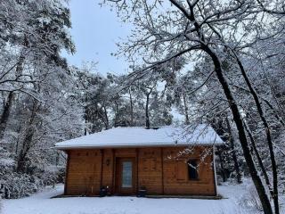 Vakantiehuis midden in het bos vlakbij de Efteling Natuurhuisje Loonse en Drunense duinen - Helvoirt - 4
