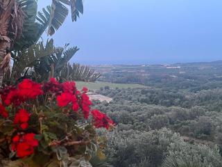 Agriturismo Catena - Cirò - 3