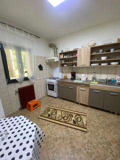 Casuta Mica - Buşteni - 5