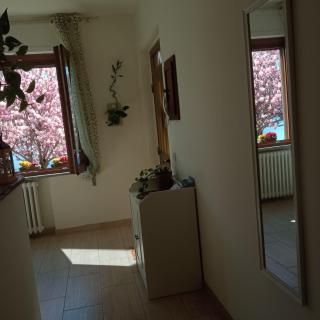 Las Tres Tajanas - 7