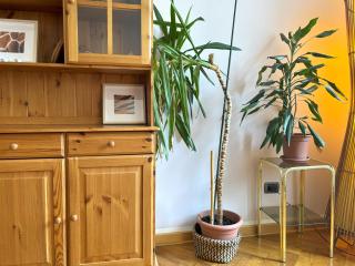 Flat Belpoggio 13 - Trieste - 1