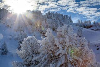 studio, 2 personnes, Les Balcons de Recoin - Chamrousse - 5